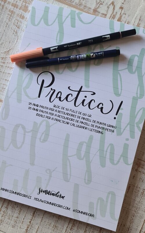Bloc de pautes per a practicar