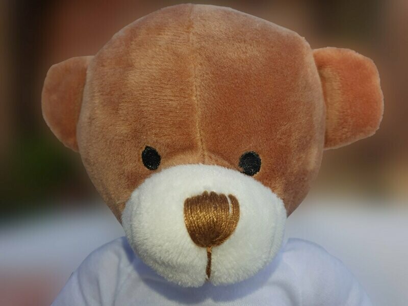 Richard Teddy Bear