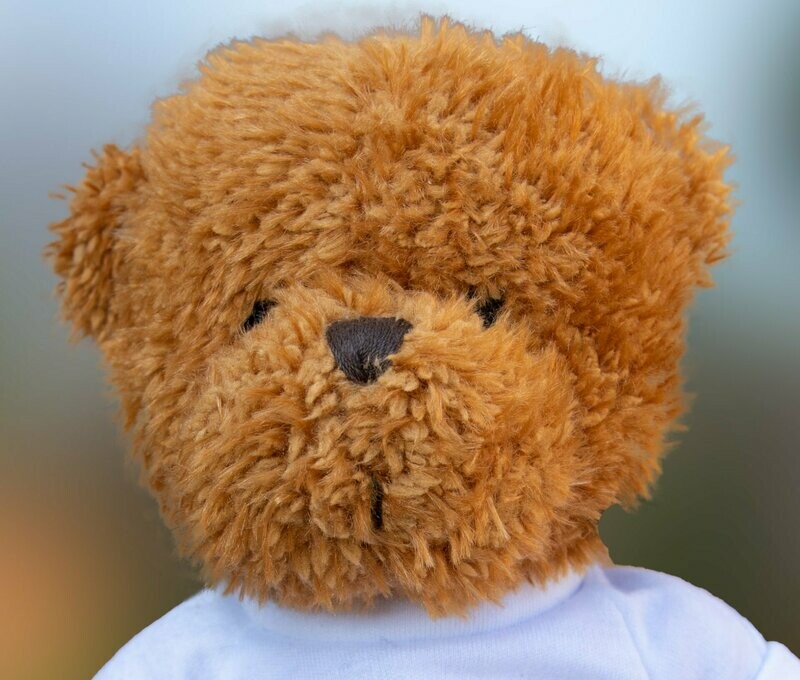 James Teddy Bear