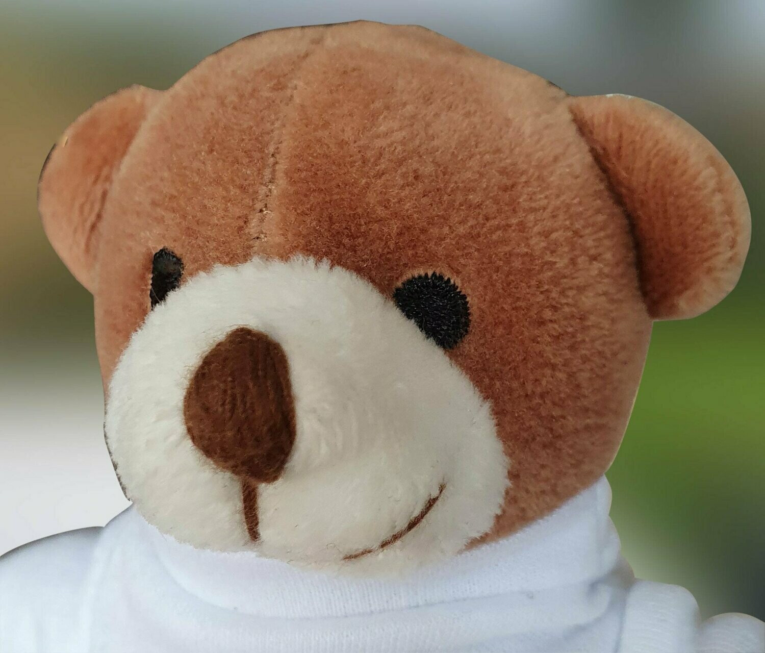 Henry Teddy Bear