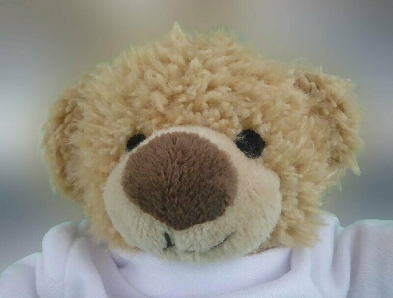 Harry Teddy Bear