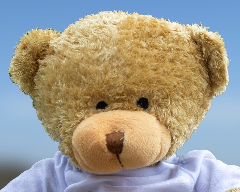 Edward Teddy Bear