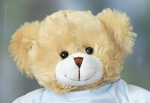 Elizabeth Teddy Bear