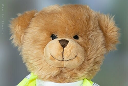 Charles Teddy Bear