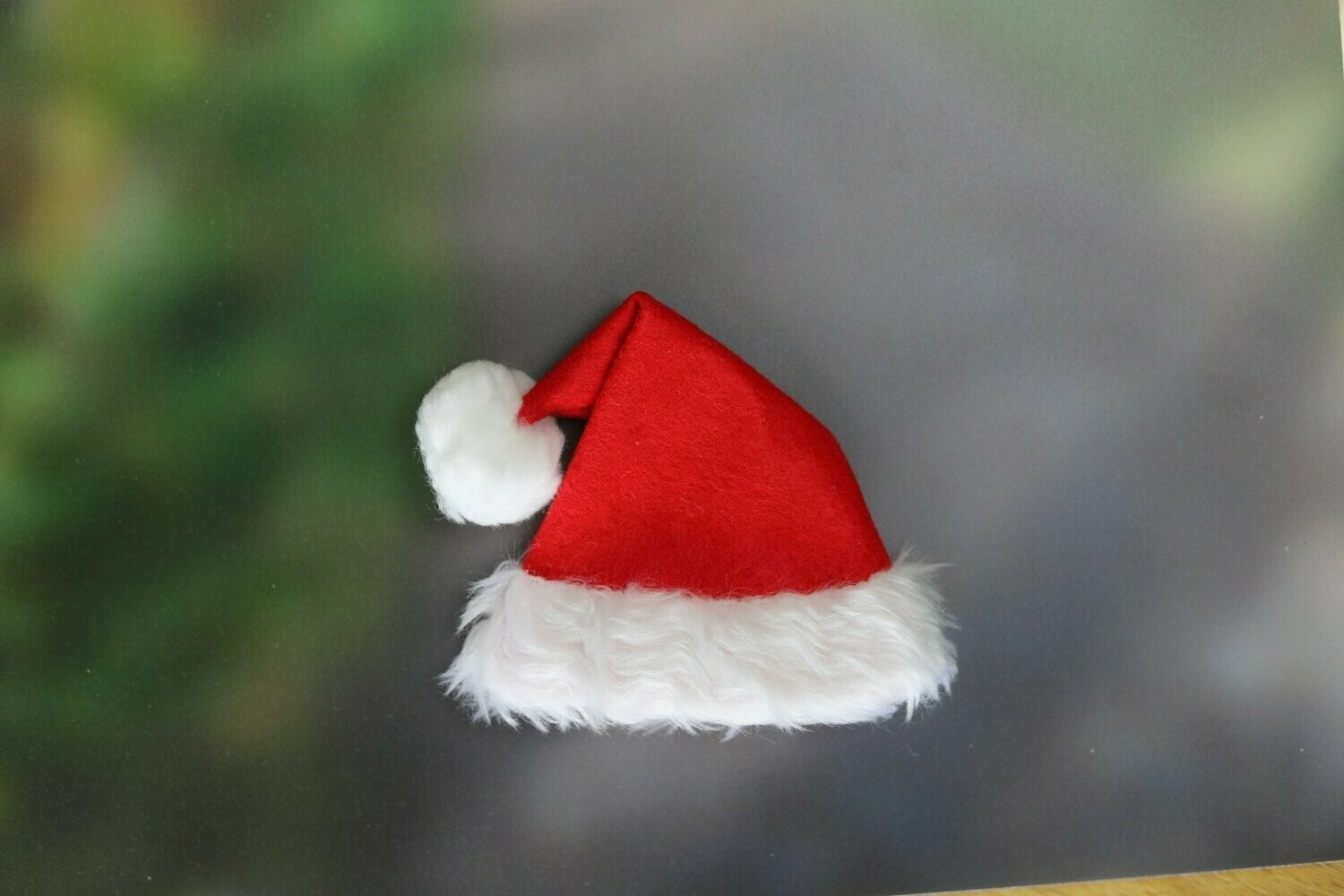Teddy Bear Santa Hat
