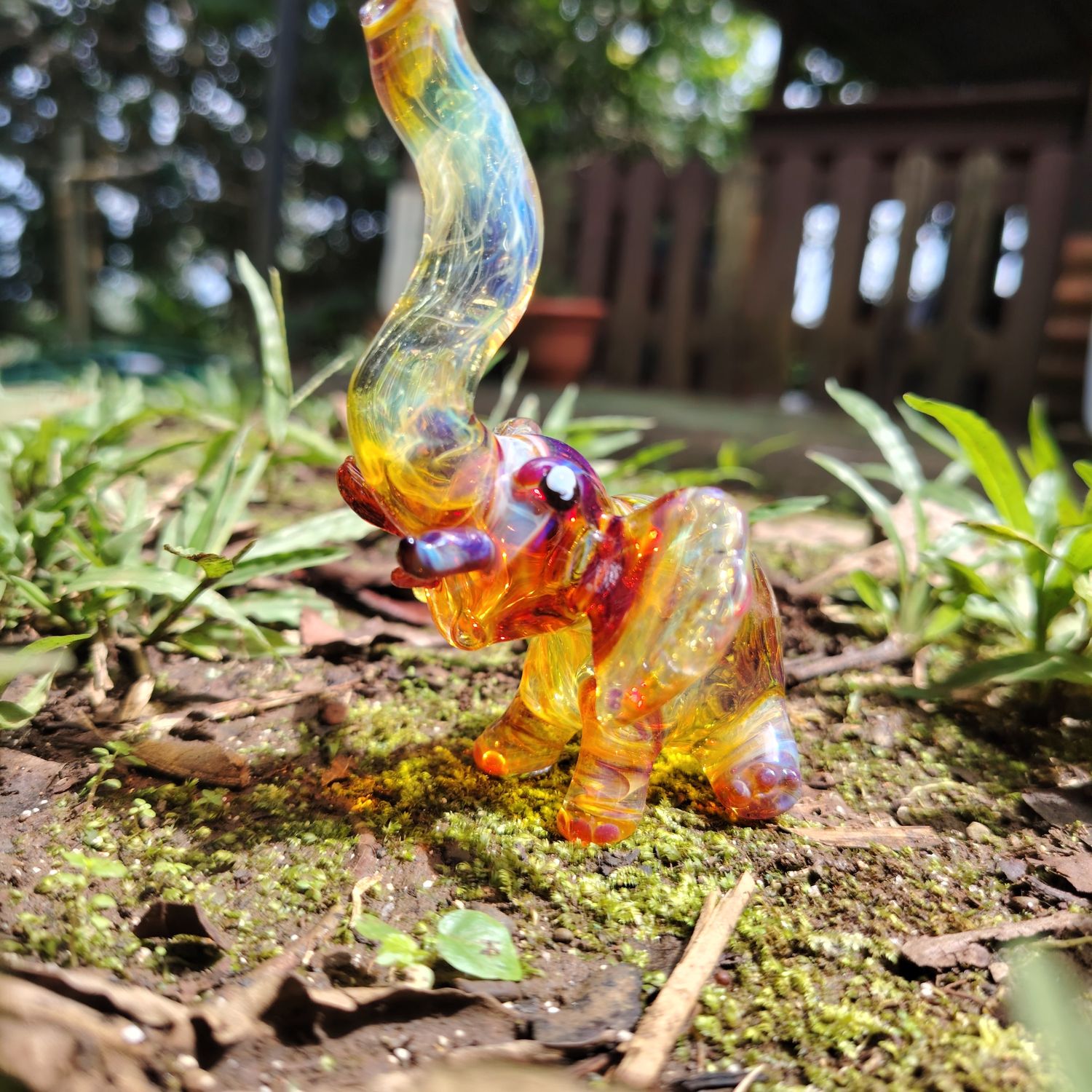 Pipas variadas