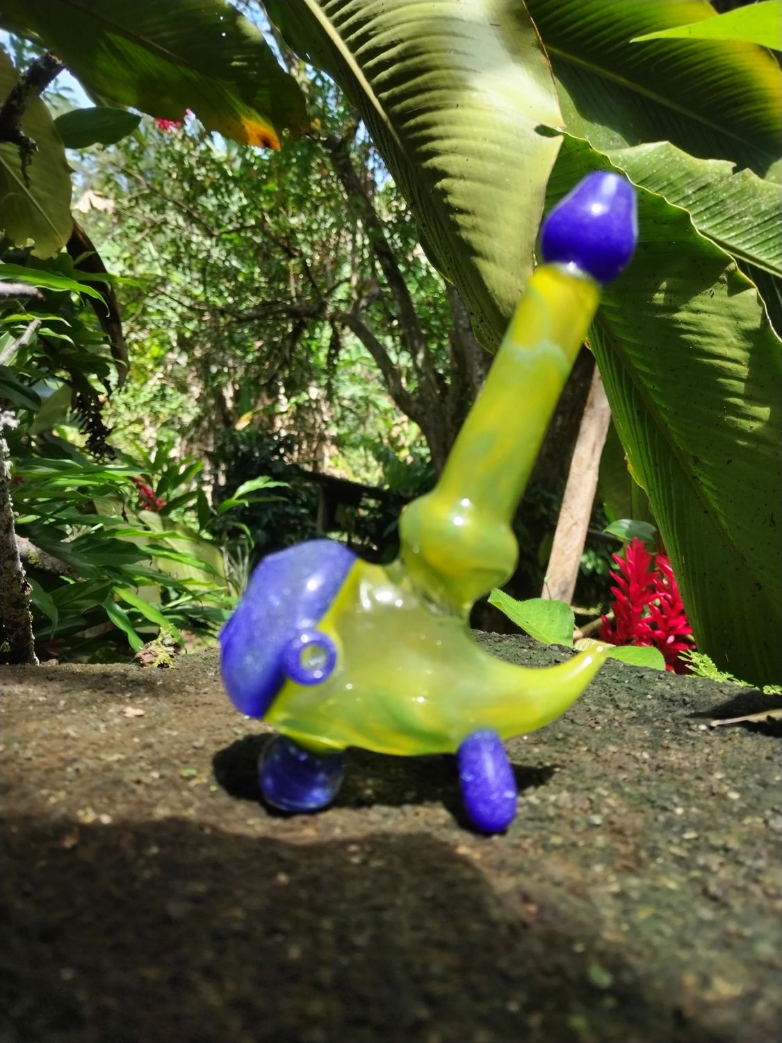 Pipas variadas