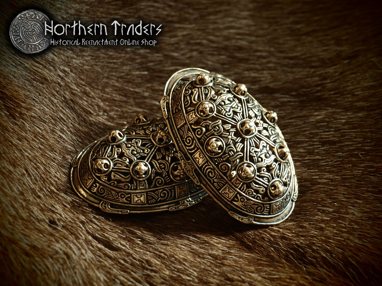 Viking Turtle Brooches
