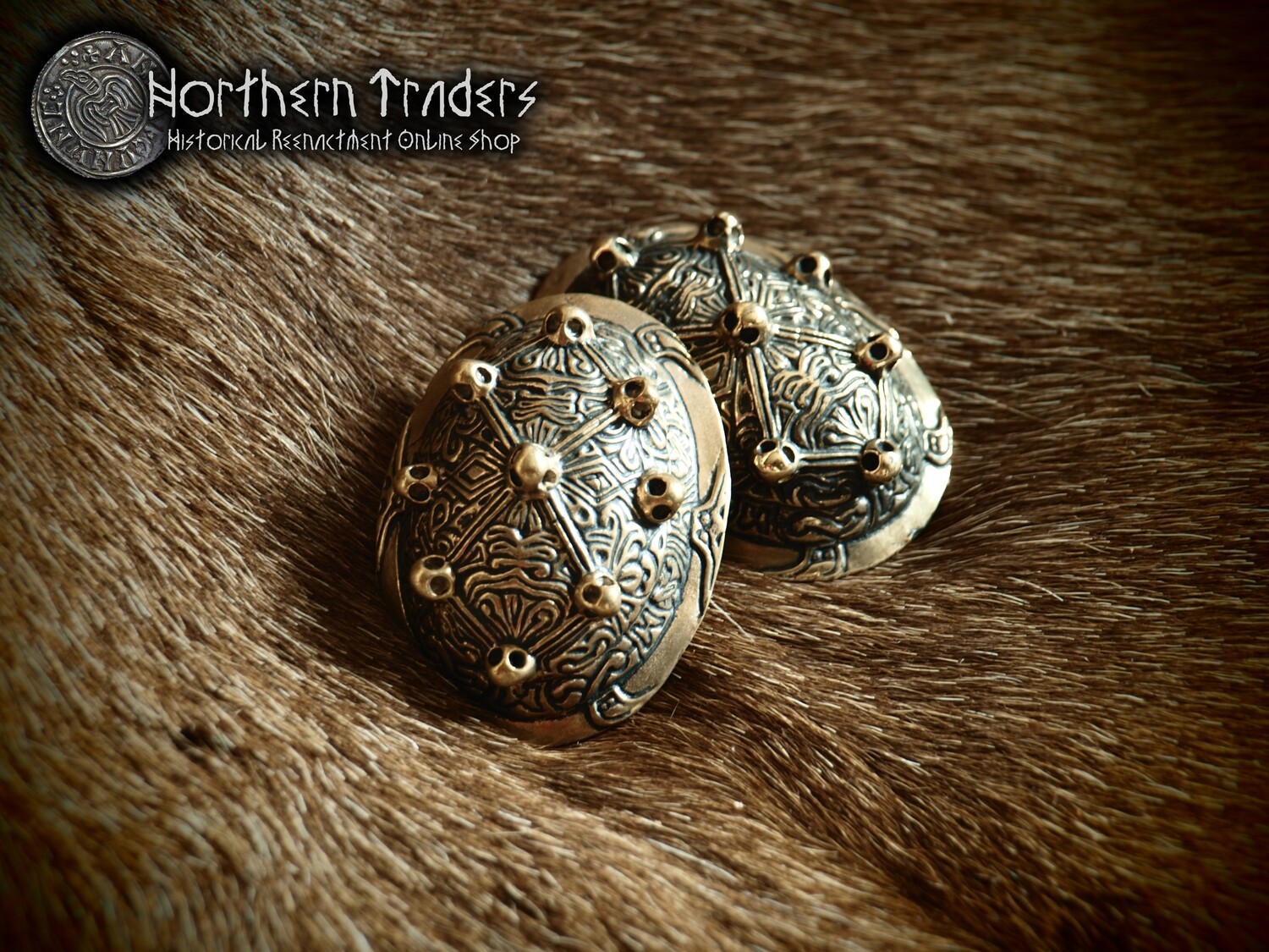 Viking Turtle Brooches - Small