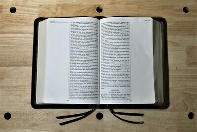 KJV Leather Journaling Bible - Rustic Leather