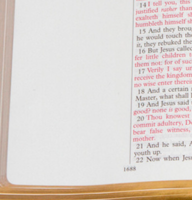 Leather Bible KJV Giant Print Journaling Bible - Rustic Two-toned Cowhide