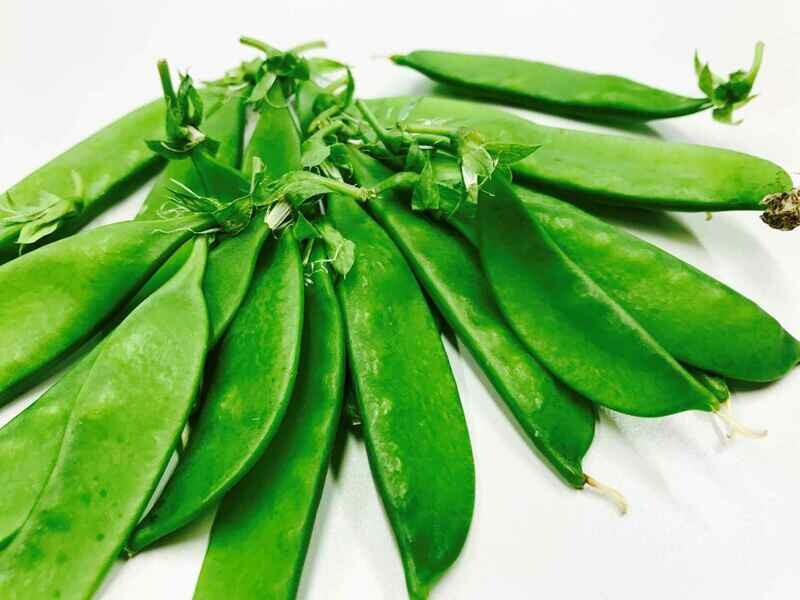 Pois mange tout Bio Suissse