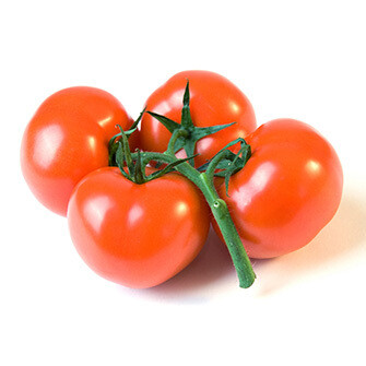 Tomate grappe Bio Suisse