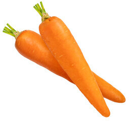 Carottes Bio Suisse