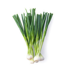 Oignons nouveaux Bio Suisse
