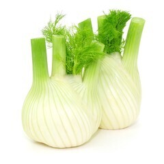 Fenouil Bio Suisse