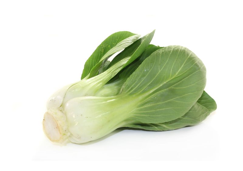 Pak Choi Bio Suissse