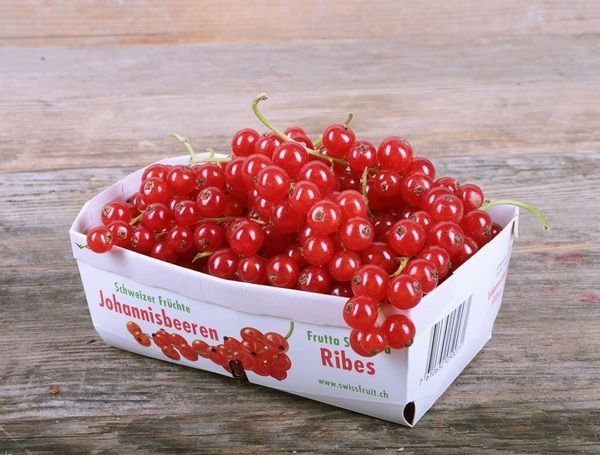 Raisinets barquette Bio Suisse