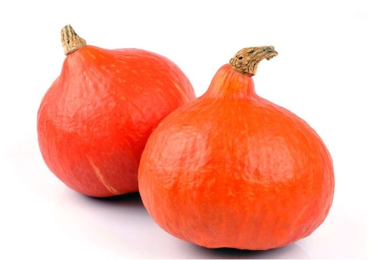 Courge Potimarron Bio Suisse