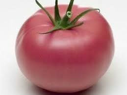 Tomate Rose de Berne Bio Suisse