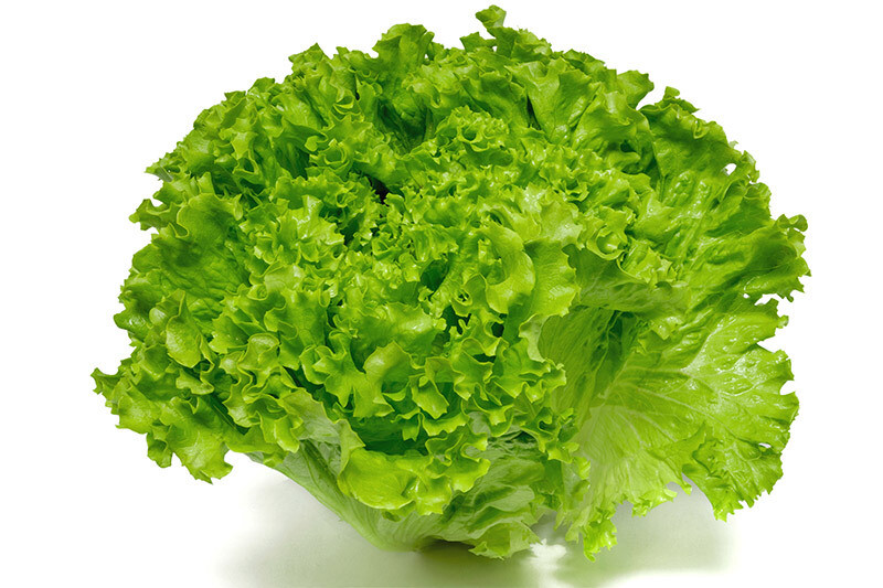 Salade verte Bio Suisse