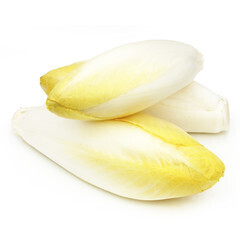 Endive Bio Suisse