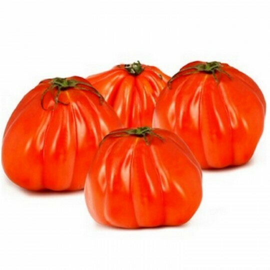 Tomate coeur de boeuf Bio Suisse Tomate coeur de boeuf Bio Suisse