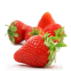 Fraise barquette Bio Suisse