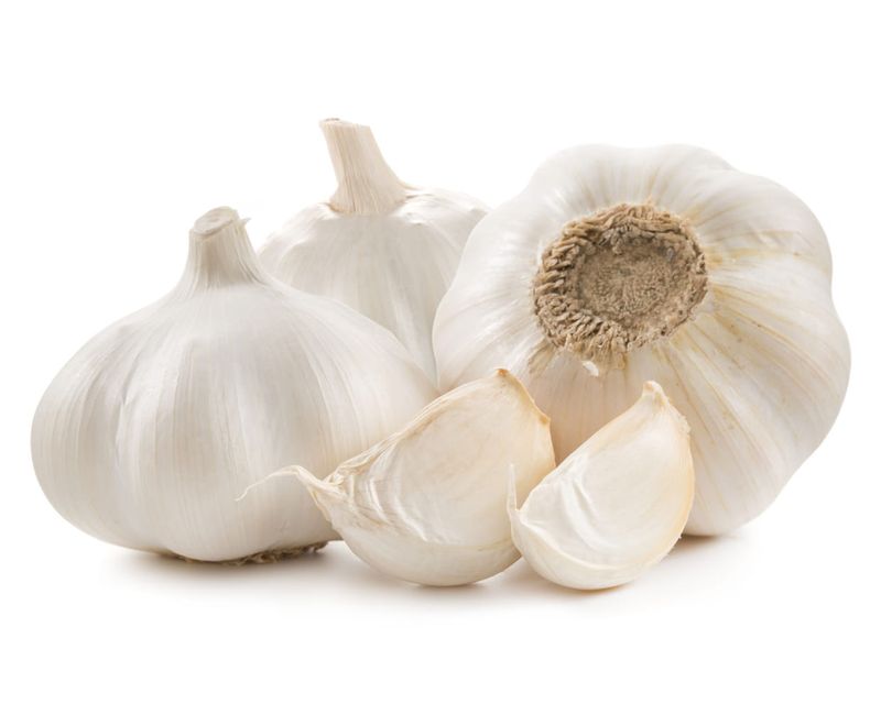 Ail sec Bio Suisse Ail sec Bio Suisse