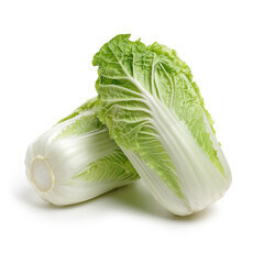 Chou chinois Bio Suisse Chou chinois Bio Suisse