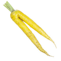 Carottes jaunes Pfälzer Bio Suisse