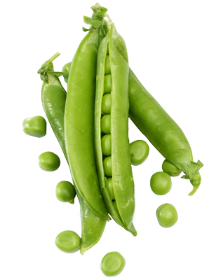 Petits pois Bio Suissse Petits pois Bio Suissse