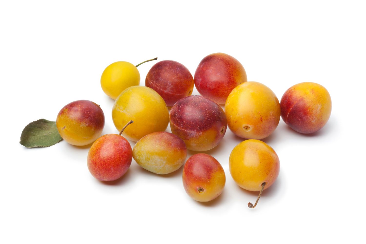 Mirabelle Bio Suisse Mirabelle Bio Suisse