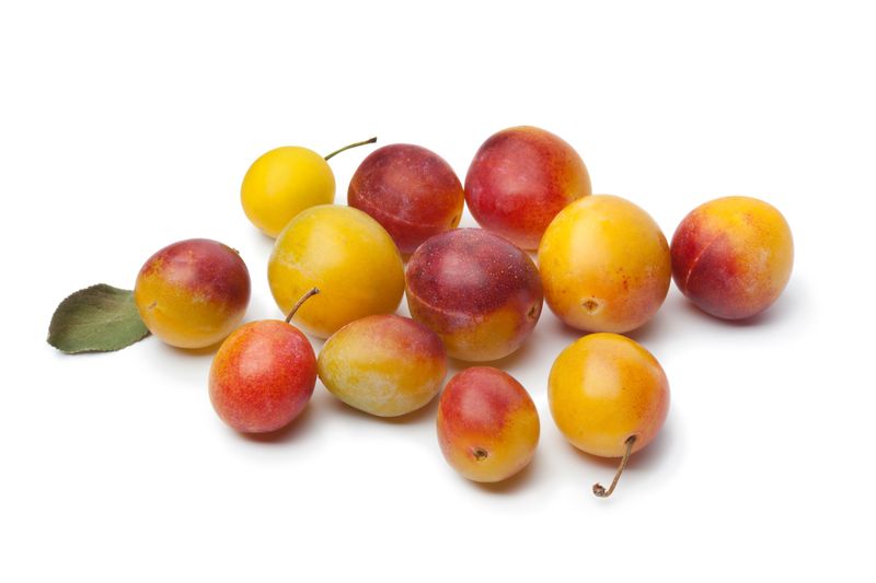 Mirabelle Bio Suisse