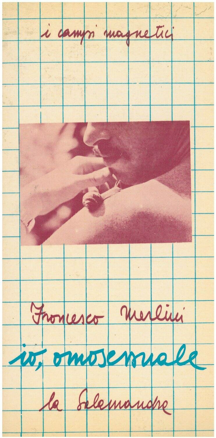 Merlini F. - IO OMOSESSUALE
