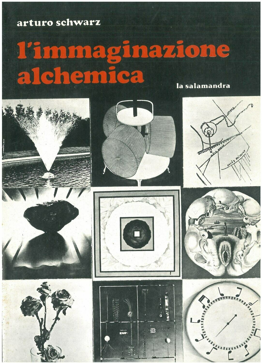 Schwarz A. - L'IMMAGINAZIONE ALCHEMICA Schwarz A. - L'IMMAGINAZIONE ALCHEMICA