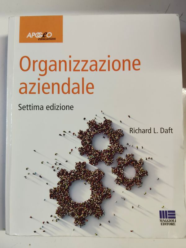 Usato, Organizzazione aziendale, R. Daft, Maggioli