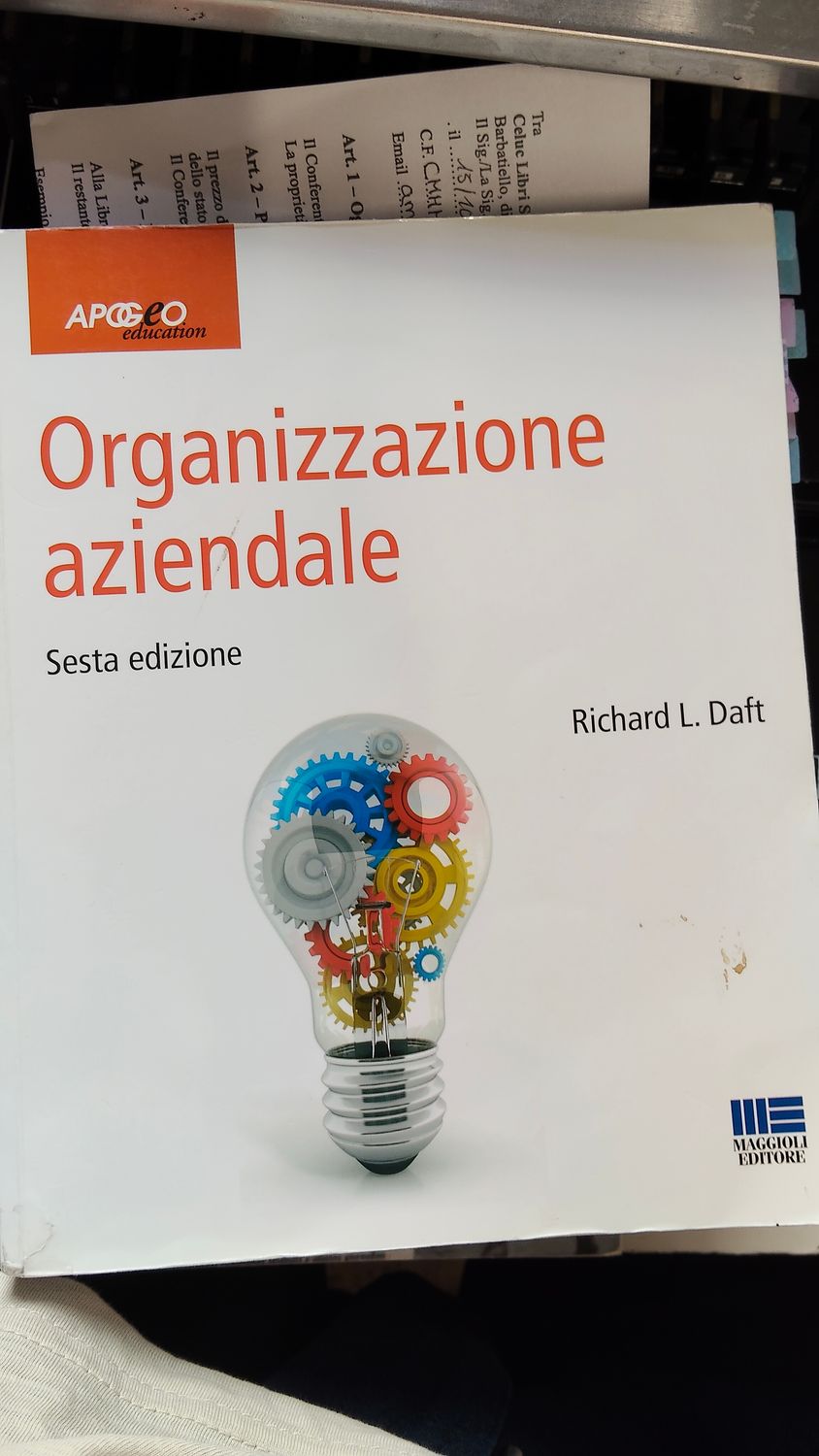 ​Daft - Organizzazione aziendale (Usato) Edizione 28 febbraio 2017