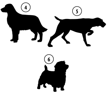 Kužki 4, 5, 6