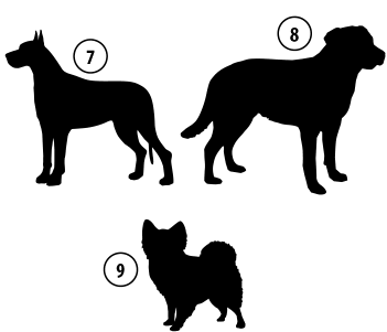Kužki 7, 8, 9