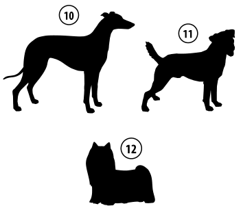 Kužki 10, 11, 12
