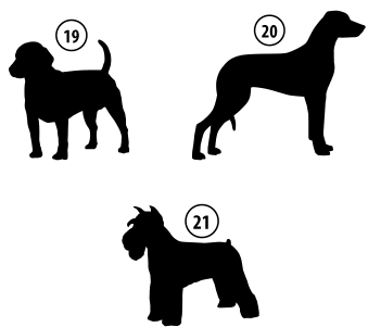 Kužki 19, 20, 21