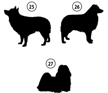 Kužki 25, 26, 27