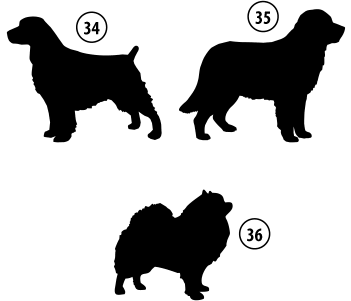 Kužki 34, 35, 36