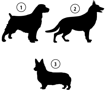 Kužki 1, 2, 3