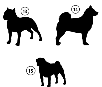 Kužki 13, 14, 15