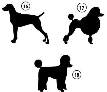 Kužki 16, 17, 18