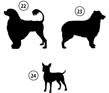 Kužki 22, 23, 24