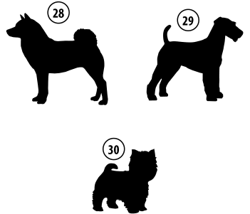 Kužki 28, 29, 30