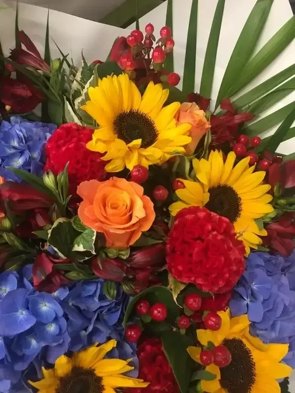 Brighten My Day